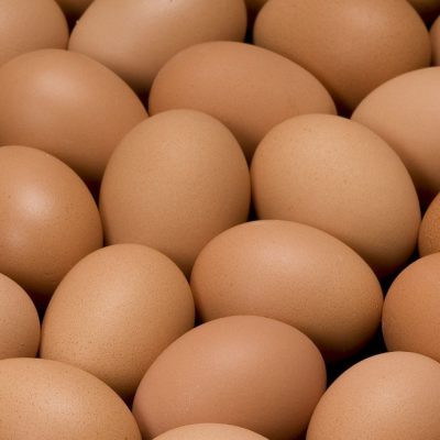 hy-line-brown-eggs